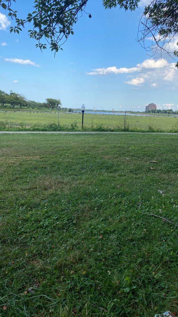 T3C420's tweet photo. Go touch some grass 🤙🏽 https://t.co/ciSkOU7uWm