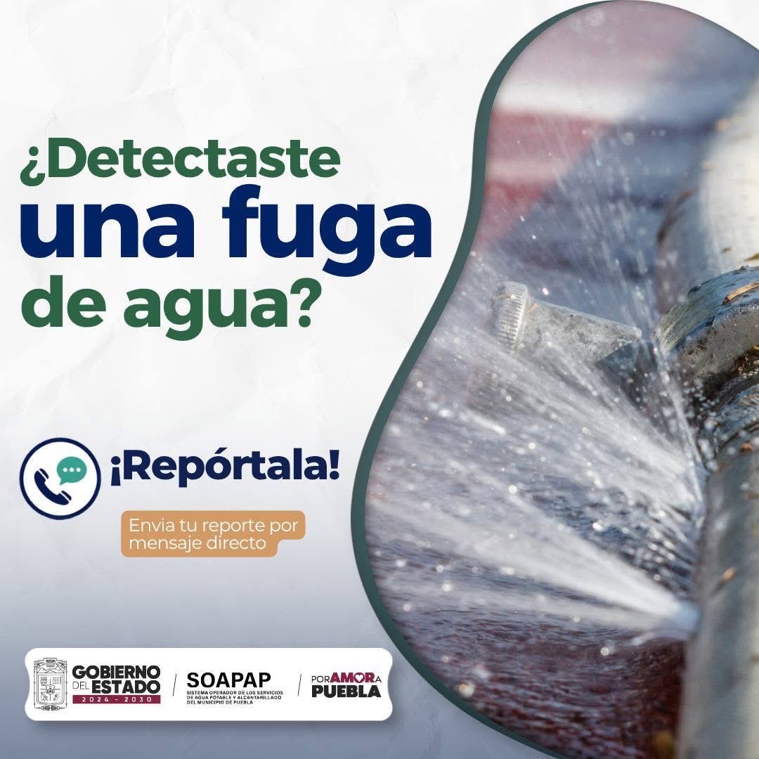 SOAPAPGobPue's tweet photo. 💧Para solicitar la atención de una fuga de agua potable en vía pública, puedes enviar tu reporte vía mensaje directo con la siguiente información:
📍Ubicación precisa (calle, número y colonia)
📸Fotografía o video del punto de fuga
📝Breve descripción del evento
📞Teléfono de contacto
✅Un representante asignará el folio correspondiente.
