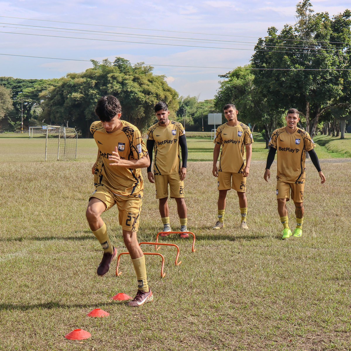 AtleticoFCSA's tweet photo. ⚽ #AtléticoFCDeCali☀️
Trabajo técnico, circuito coordinativo y ejercicios de velocidad para potenciar el rendimiento en cada sesión. ⚡💙💛
#ModoEntrenamiento #ElAzulYOroDeCali #VamosAtlético https://t.co/7ZHl7vaB9k