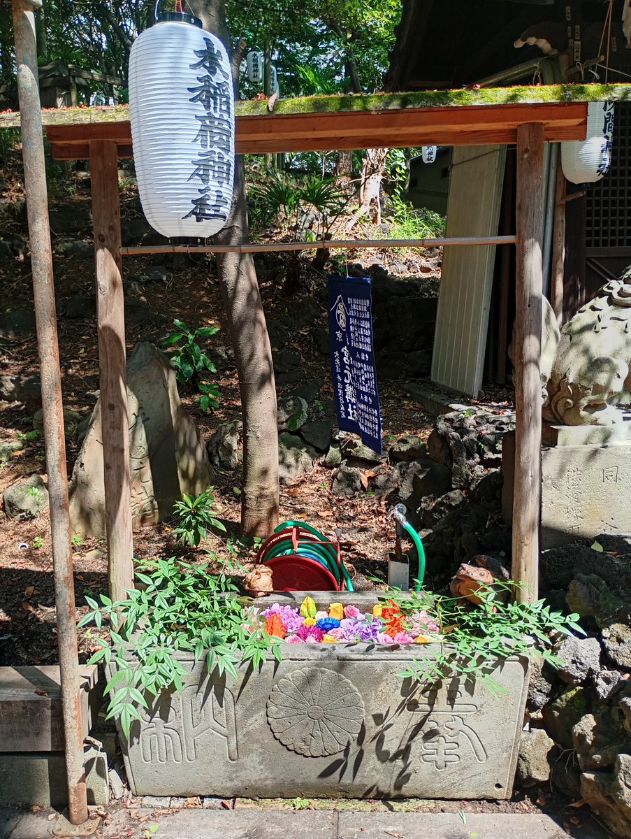 Fridge_0_Empty's tweet photo. 「水稲荷神社」② #新宿区
毎年7月開催 #高田富士祭 の2日間に限り富士塚のお山開きが行われる🗻⛩️かつては早稲田大学の場所にあり､江戸最大最古の富士塚として江戸八富士の代表格でしたが､1963年の移築によりその栄誉から外れたのは残念😖⛩️江戸八富士の呼称も現在は江戸七富士と呼ばれるように🙄⛩️ https://t.co/rMdxzpmlYR