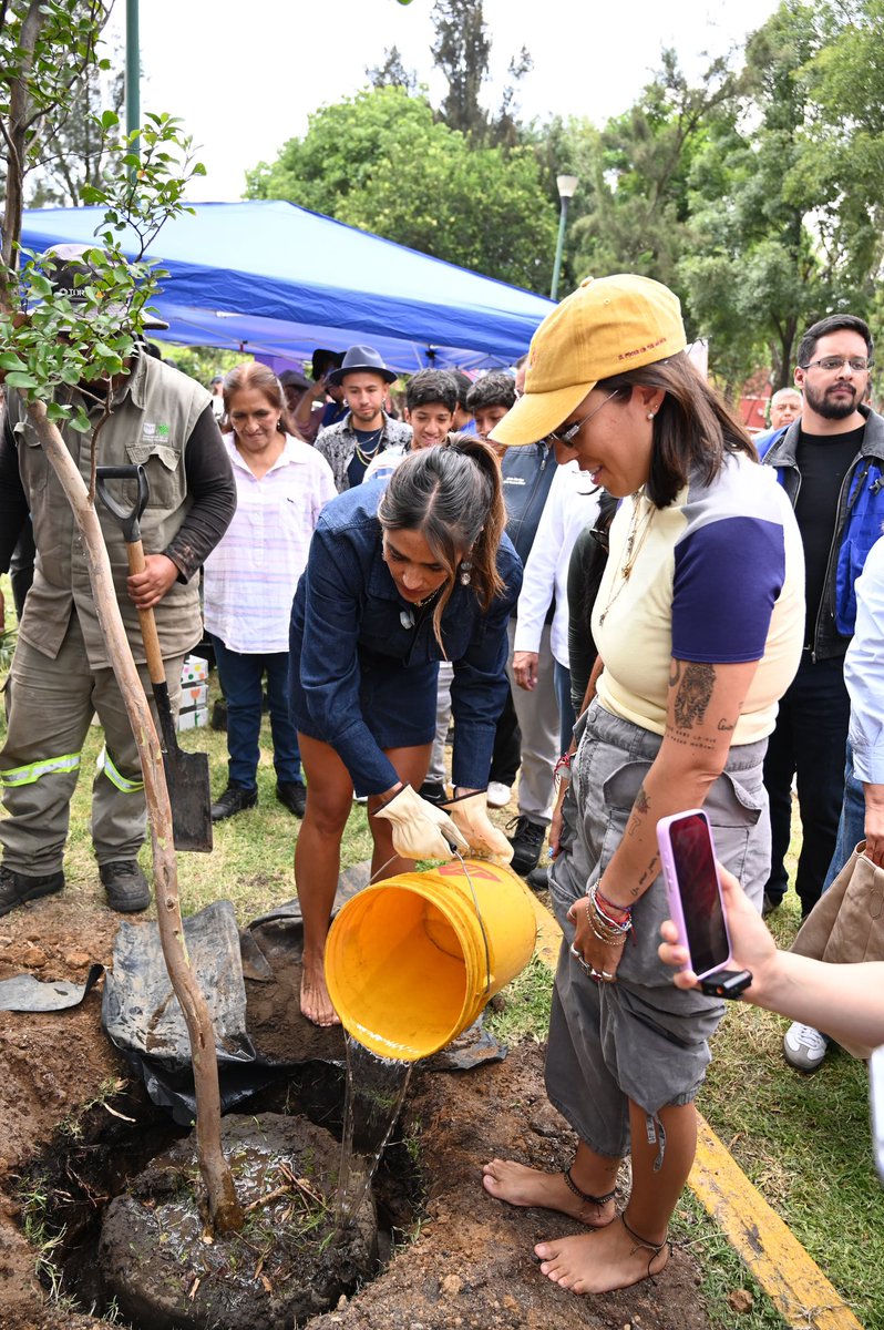 AlessandraRdlv's tweet photo. Hoy reverdecimos la Plaza Pentathlon, en la colonia Roma Sur, porque recuperar el espacio público también es sembrar comunidad, encuentro y futuro.

Así se construye una mejor Cuauhtémoc: juntos. https://t.co/h1jWtezizR