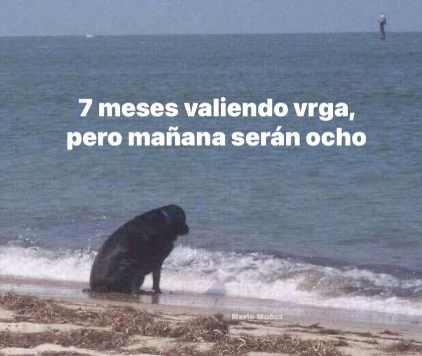 En Júpiter tweet media