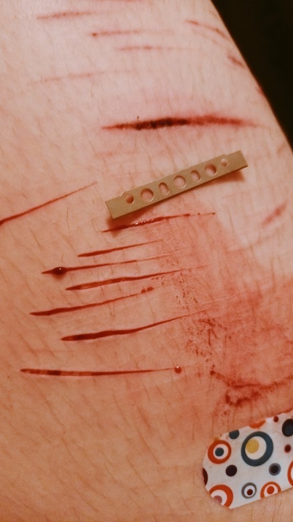 Dumbnmuzzled's tweet photo. Erm what the flip. TW:SH Fake FAAAKe fake!! Not even real https://t.co/fSUSiL4eU8
