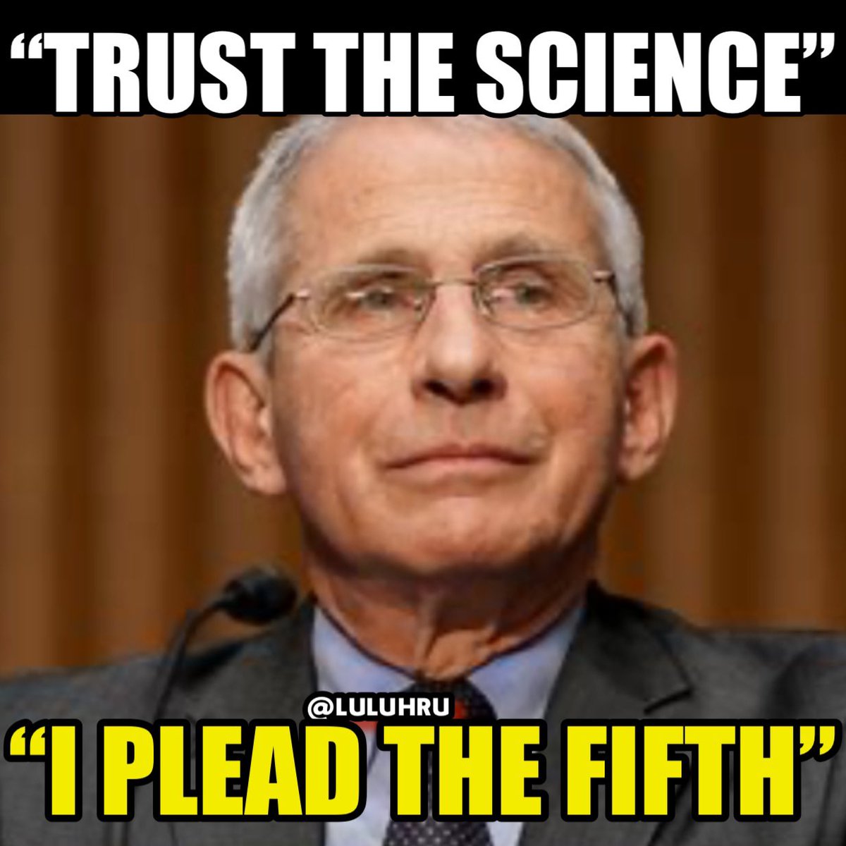 luluHru's tweet photo. Remember when Fauci said “I am the science” the science is awful quiet now! https://t.co/BK2A6OHljs