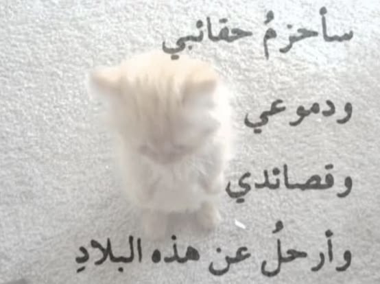 Salmoonya's tweet photo. https://t.co/g4BMaT8Oye