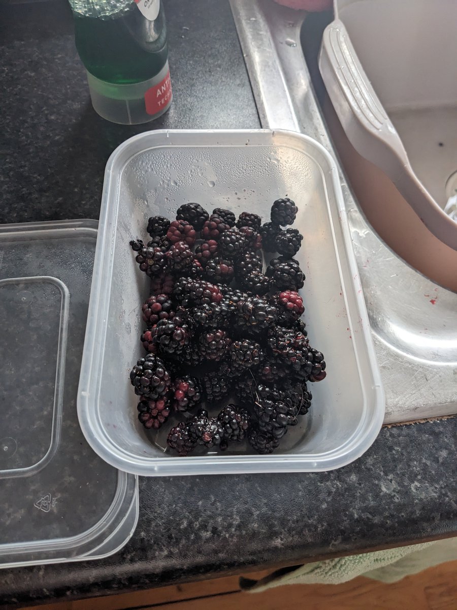 spaiseoir's tweet photo. In my blackberry foraging era https://t.co/HDBoZqpcfu