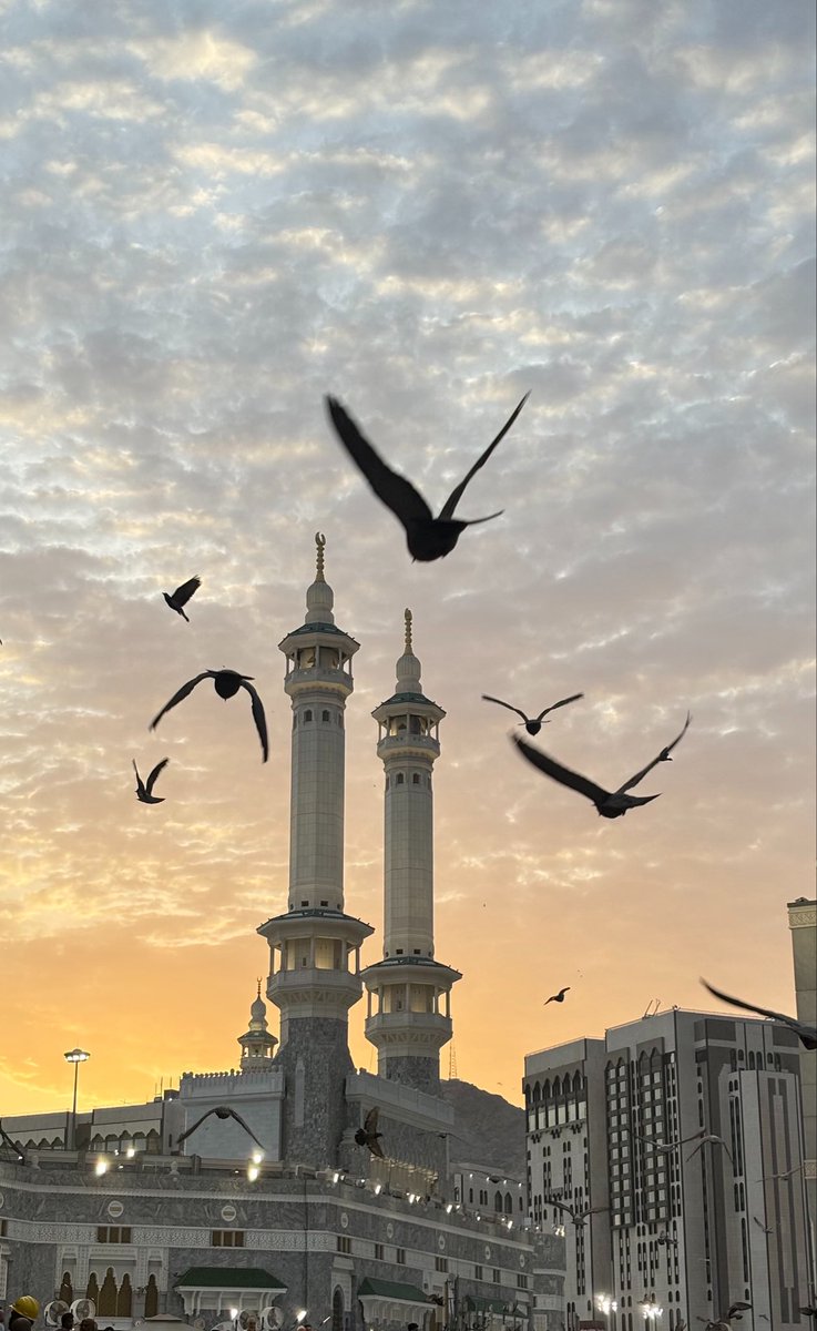 Sulghr's tweet photo. هُنا… يهدأ كل شيء💔❤️ https://t.co/4Lb0okCyWm