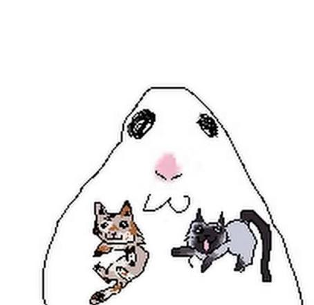 LeCat_ZX's tweet photo. @Net_Suki0w0 https://t.co/dZxboX6IaP