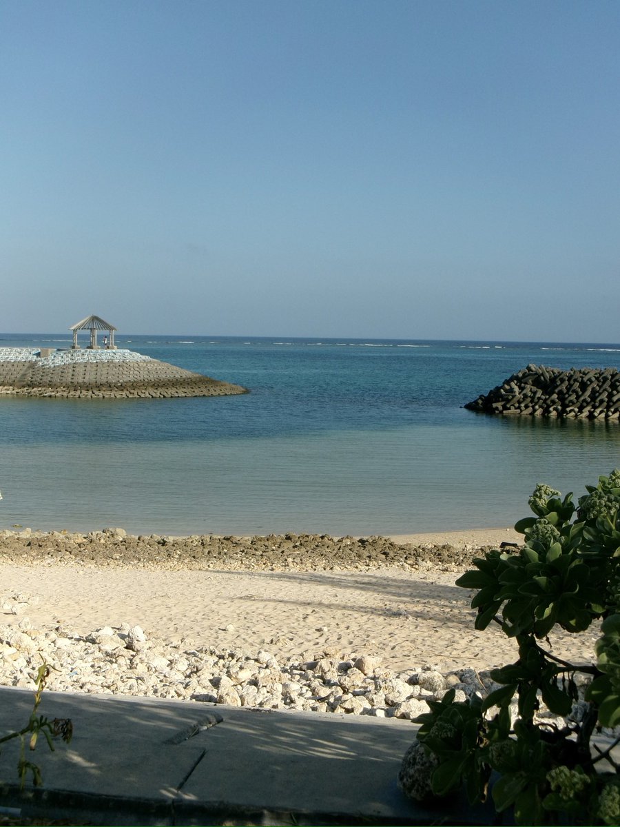 renapri_jack_'s tweet photo. 夏☀️ https://t.co/iRQRr9ObfA
