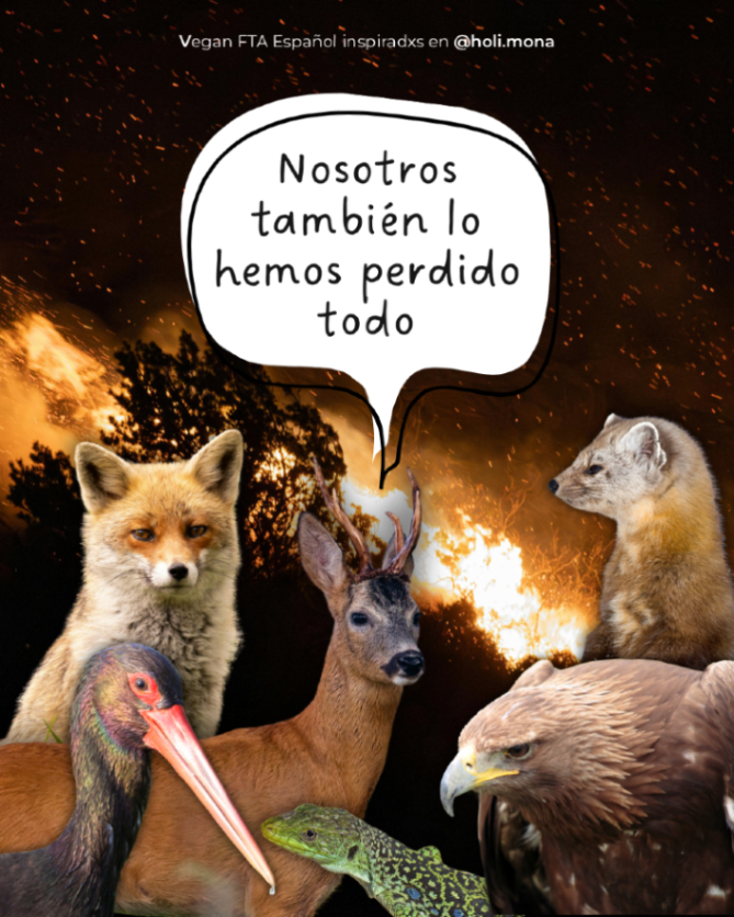 VeganFTAEspanol's tweet photo. En el recuento de los daños causados por los incendios y otros desastres de magnitud es común que se ignore a las víctimas no humanas, pero ellos también lo pierden todo... sus vidas, su hogar, su sustento 💔
#europasequema #elmundoarde #incendios #españa https://t.co/UazhAj1rJ7