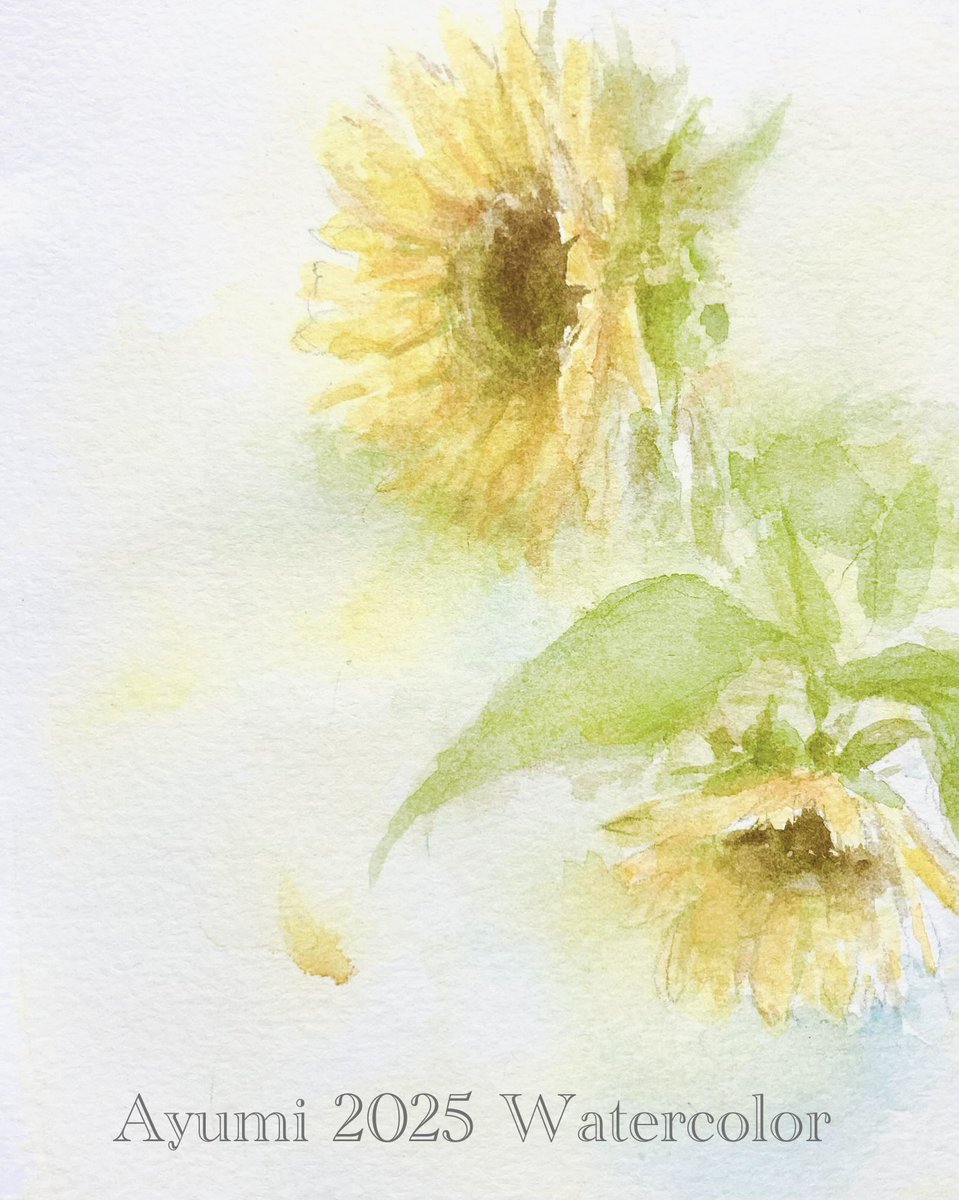 mi_yu_ami's tweet photo. 🕊️🕊｡.｡:+*🌻
#透明水彩　#watercolor https://t.co/8HxjeV0LxR