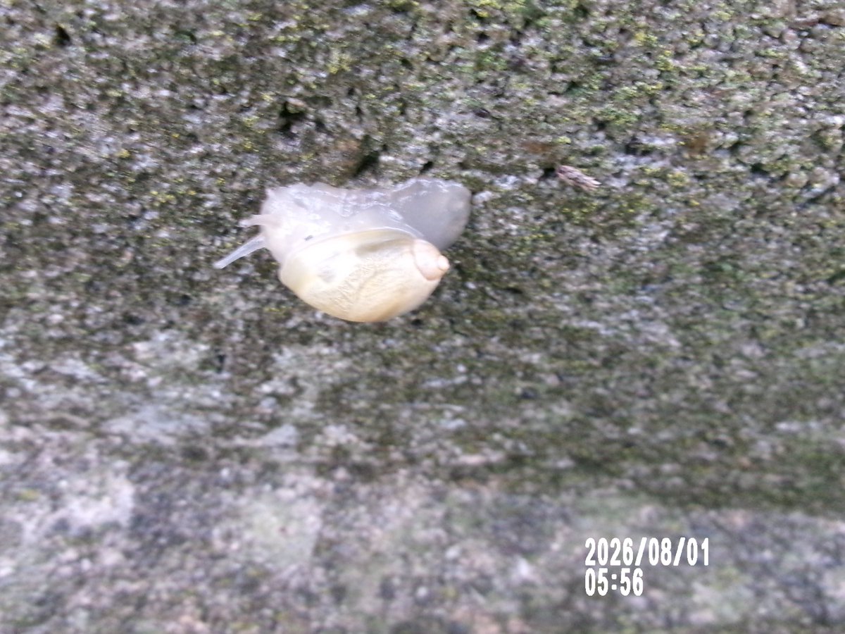 んでまず、ここでちょっと～🌂➰🧐。