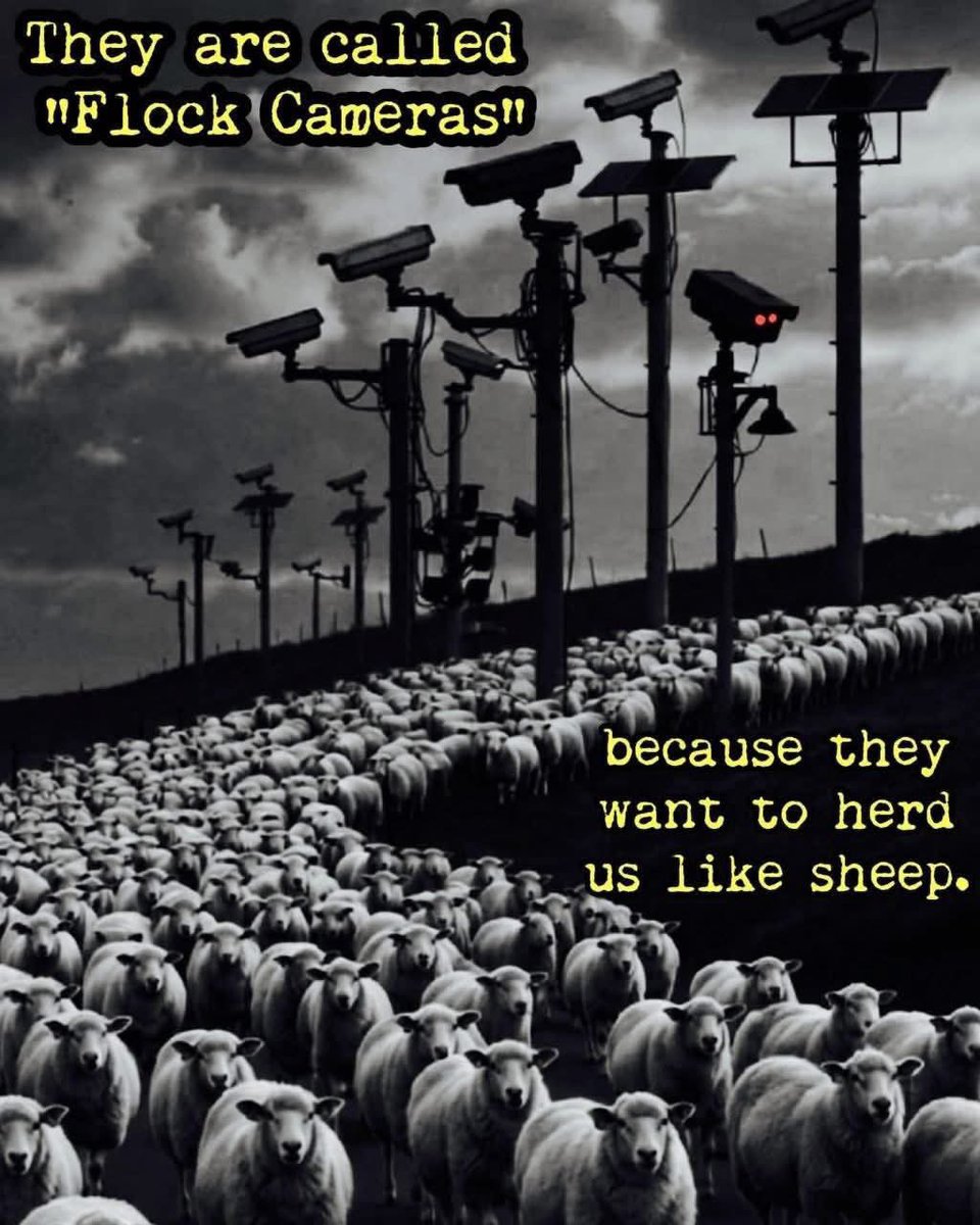 sharpe_way's tweet photo. They do want to herd us like a flock of sheep. https://t.co/ajXZQcGZat