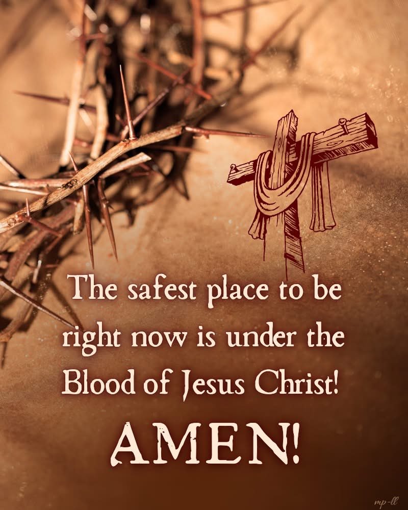 ChristIsComing5 tweet picture