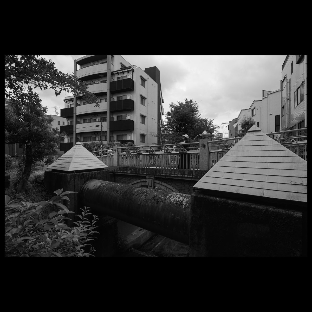 mochaca_peace's tweet photo. drop note.

model ねね（@kurukuru_nene）

#portrait
#streetphotography
#monochrome https://t.co/rWKCw2MbJS