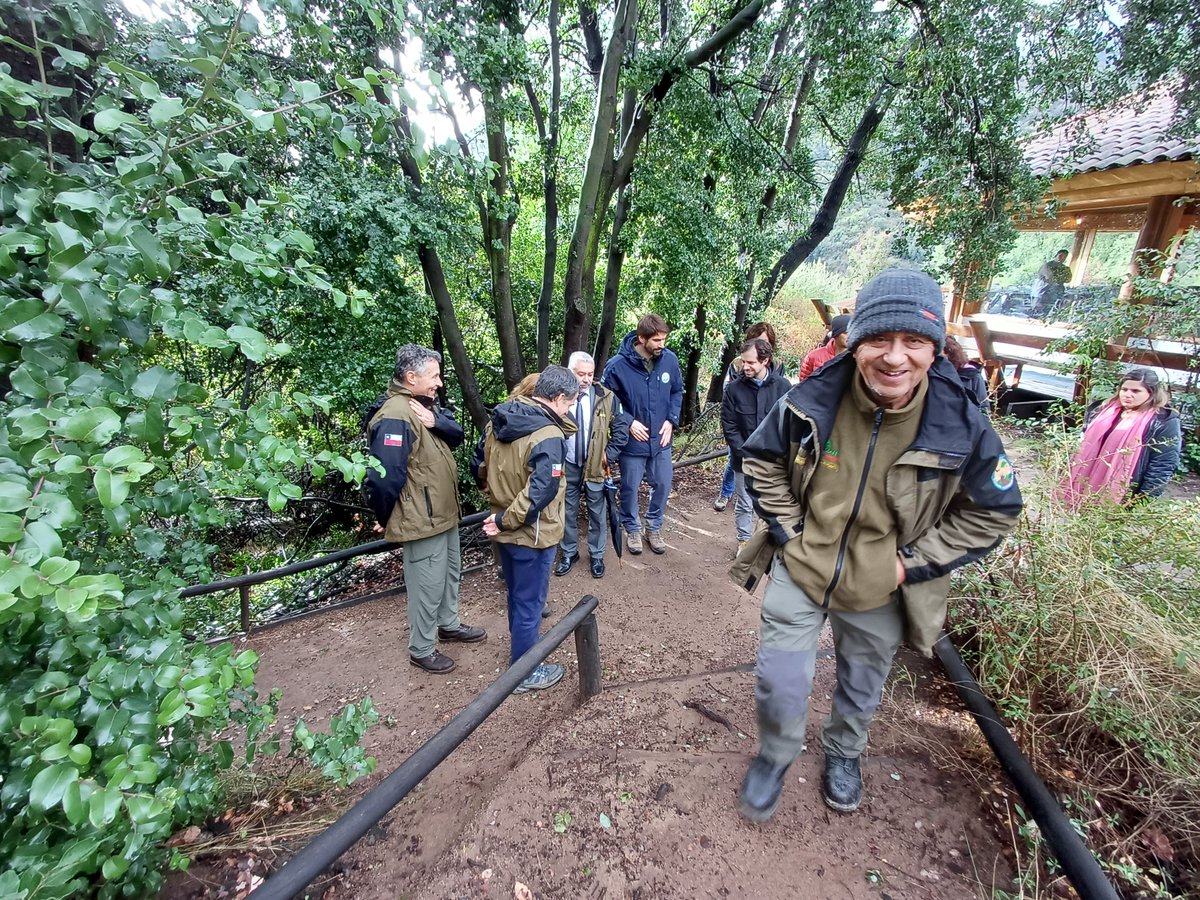 conaf_minagri's tweet photo. 🟢 Con la majestuosidad del Parque Nacional Río Clarillo de fondo, #CONAF y #SBAP presentaron el Plan de Trabajo para la Gestión del Cambio 2026-2027, en el marco de traspaso de las áreas protegidas desde la Corporación Nacional Forestal al SBAP.
La ceremonia contó con la presencia de los subsecretarios de @Sub_Agricultura Francesco Venezian y de @MMAChile José Ignacio Vial, además de la directora ejecutiva de #CONAF Aída Baldini y del #SBAP, Tomás Saratscheff, junto a guardaparques y funcionarios de ambas instituciones.
En la oportunidad, la directora ejecutiva reafirmó la disposición de CONAF a colaborar activamente con el SBAP, "aportando la experiencia, conocimiento territorial y compromiso de nuestros equipos. Esta transición deberá conducirse con responsabilidad, transparencia y respeto por las personas".