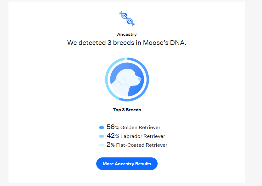 ModSherpa's tweet photo. I had a dna kit sitting on the shelf for months and never got around to... There always seemed like there was more time until there wasn't, but the doctor was willing to do the swab  for me. We always thought he was part dane. https://t.co/f6e5h25MJF