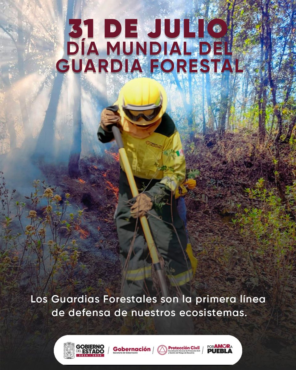 PC Estatal Puebla tweet media