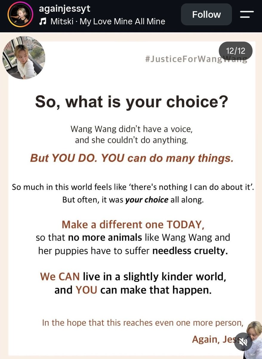 MaleficentLady's tweet photo. So well written! Ignore the nay-sayers and demoralisers on the topic of animal rights in China!:

"I hope some people will stop saying things like, "No matter how much you do, the animal protection law won't pass," or "China doesn't even have human rights, so where would animal rights come from?"

Every time someone stands up to fight for rights, there are always those who can't wait to pour cold water on it, as if declaring failure in advance makes them seem especially clear-headed and insightful.

It's fine if you can't help, but keeping quiet is also a form of wisdom. Others are working hard to drive change—you don't have to support or join in, but there's no need to jump out just to seek attention, let alone dismiss everyone's efforts with a single "it's useless."

Many social progresses were once ridiculed as "impossible" by countless people before they actually happened. If everyone gave up because of the difficulties, then there really would never be any change.

This time is China's closest yet to an animal protection law—if everyone can pitch in, change will come soon. If you're timid, that's okay too; hiding behind others and quietly giving a like is just fine."

Lots of things were "just the way things are". People put in the effort to make those things change. We thought them impossible at the time, but look now!

Many things HAVE changed for the better. How do you know you will lose before you even try? 

Stay strong! ✊🏼❤️

#justiceforwangwang  #wangwang  #wantwant #旺旺  #Jieyang  #BoycottJieyang #StopCatTortureInChina #StopCatTorture #AnimalProtectionLawChina #china #beijing #chinatourism
