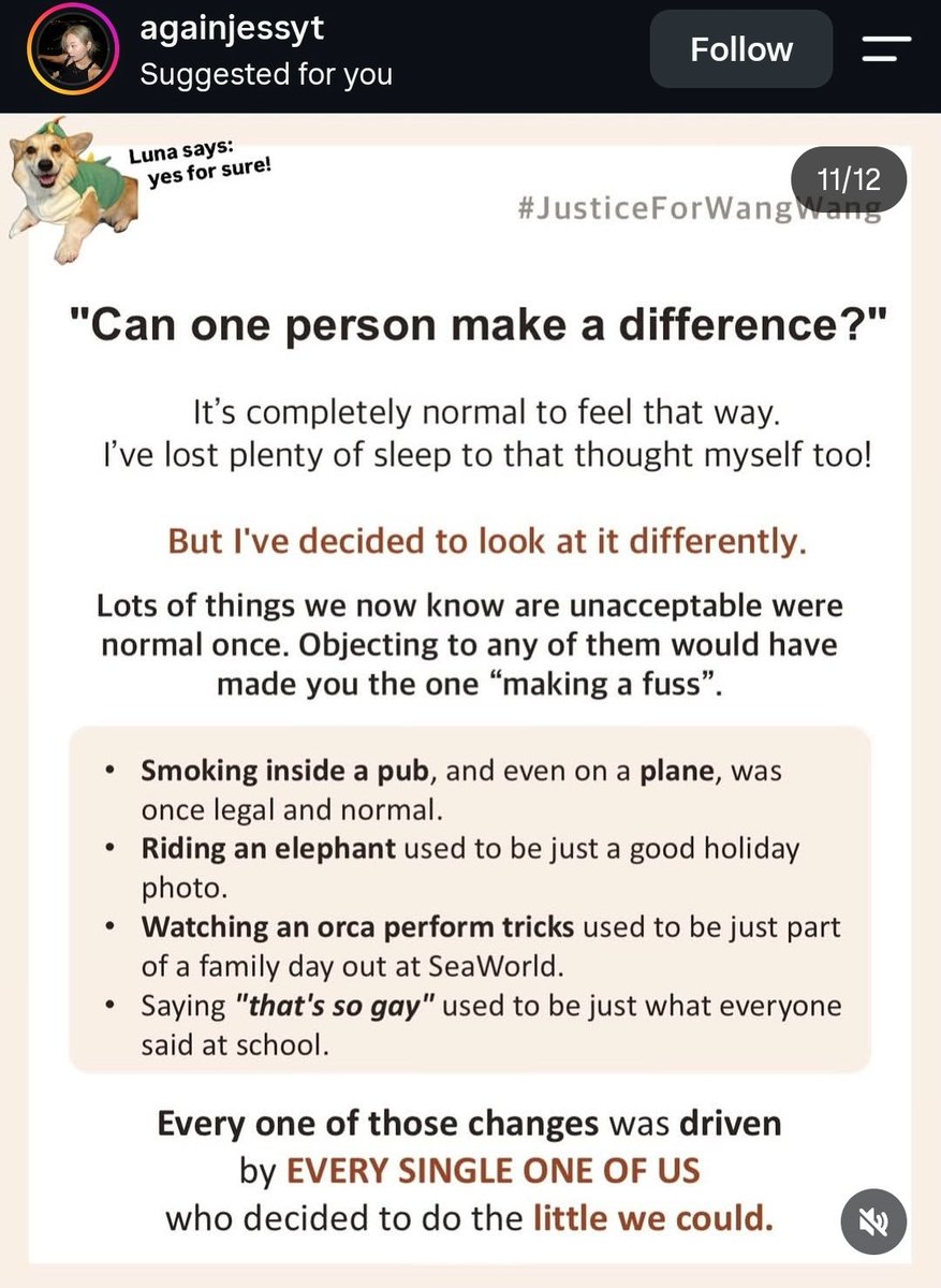 MaleficentLady's tweet photo. So well written! Ignore the nay-sayers and demoralisers on the topic of animal rights in China!:

"I hope some people will stop saying things like, "No matter how much you do, the animal protection law won't pass," or "China doesn't even have human rights, so where would animal rights come from?"

Every time someone stands up to fight for rights, there are always those who can't wait to pour cold water on it, as if declaring failure in advance makes them seem especially clear-headed and insightful.

It's fine if you can't help, but keeping quiet is also a form of wisdom. Others are working hard to drive change—you don't have to support or join in, but there's no need to jump out just to seek attention, let alone dismiss everyone's efforts with a single "it's useless."

Many social progresses were once ridiculed as "impossible" by countless people before they actually happened. If everyone gave up because of the difficulties, then there really would never be any change.

This time is China's closest yet to an animal protection law—if everyone can pitch in, change will come soon. If you're timid, that's okay too; hiding behind others and quietly giving a like is just fine."

Lots of things were "just the way things are". People put in the effort to make those things change. We thought them impossible at the time, but look now!

Many things HAVE changed for the better. How do you know you will lose before you even try? 

Stay strong! ✊🏼❤️

#justiceforwangwang  #wangwang  #wantwant #旺旺  #Jieyang  #BoycottJieyang #StopCatTortureInChina #StopCatTorture #AnimalProtectionLawChina #china #beijing #chinatourism