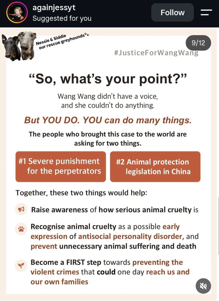 MaleficentLady's tweet photo. So well written! Ignore the nay-sayers and demoralisers on the topic of animal rights in China!:

"I hope some people will stop saying things like, "No matter how much you do, the animal protection law won't pass," or "China doesn't even have human rights, so where would animal rights come from?"

Every time someone stands up to fight for rights, there are always those who can't wait to pour cold water on it, as if declaring failure in advance makes them seem especially clear-headed and insightful.

It's fine if you can't help, but keeping quiet is also a form of wisdom. Others are working hard to drive change—you don't have to support or join in, but there's no need to jump out just to seek attention, let alone dismiss everyone's efforts with a single "it's useless."

Many social progresses were once ridiculed as "impossible" by countless people before they actually happened. If everyone gave up because of the difficulties, then there really would never be any change.

This time is China's closest yet to an animal protection law—if everyone can pitch in, change will come soon. If you're timid, that's okay too; hiding behind others and quietly giving a like is just fine."

Lots of things were "just the way things are". People put in the effort to make those things change. We thought them impossible at the time, but look now!

Many things HAVE changed for the better. How do you know you will lose before you even try? 

Stay strong! ✊🏼❤️

#justiceforwangwang  #wangwang  #wantwant #旺旺  #Jieyang  #BoycottJieyang #StopCatTortureInChina #StopCatTorture #AnimalProtectionLawChina #china #beijing #chinatourism