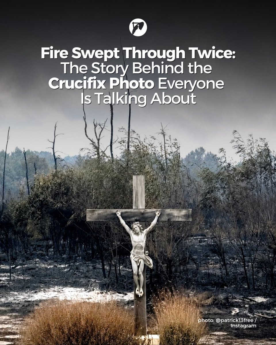 Church_POP's tweet photo. As wildfires ravage Europe and the western United States, one specific image has taken the internet by storm. In France, photojournalist Patrick Bernard captured a crucifix on his iPhone that was left standing among the ashes of the fires that struck Saumos, a small commune in the Médoc region near Bordeaux. The photo posted to Instagram on Sunday July 26th, quickly went viral.

Bernard has spent four decades as a photojournalist, chronicling stories from the road with a self-imposed rule: every photo, every word, every piece of music he shares is created entirely on his iPhone. When he's not traveling, he calls Bordeaux home.

Read more: https://t.co/F7P32kFAb6