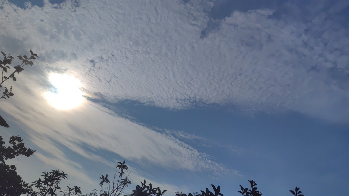 red511min's tweet photo. おはようございます👋😃☁️🌞

午前7時すぎ

#イマソラ

#イマクモ

#太陽☀ https://t.co/mhgcyHIkel