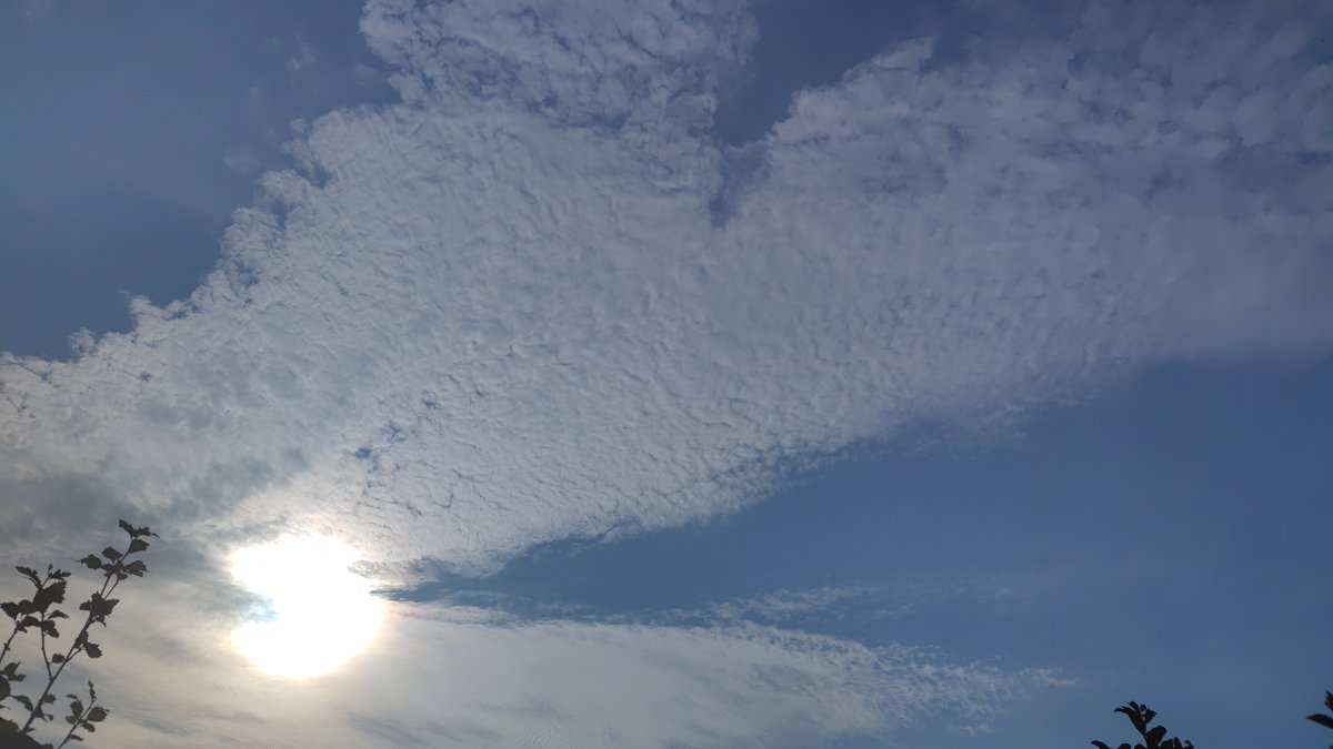 red511min's tweet photo. おはようございます👋😃☁️🌞

午前7時すぎ

#イマソラ

#イマクモ

#太陽☀ https://t.co/mhgcyHIkel