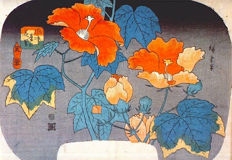 MorganaBwrites's tweet photo. In the twilight rain
these brilliant-hued hibiscus . . .
A lovely sunset
     ~Matsuo Bashō

#haiku

Hibiscus by Utagawa Hiroshige (c. 1845) https://t.co/SyekEXsMw8