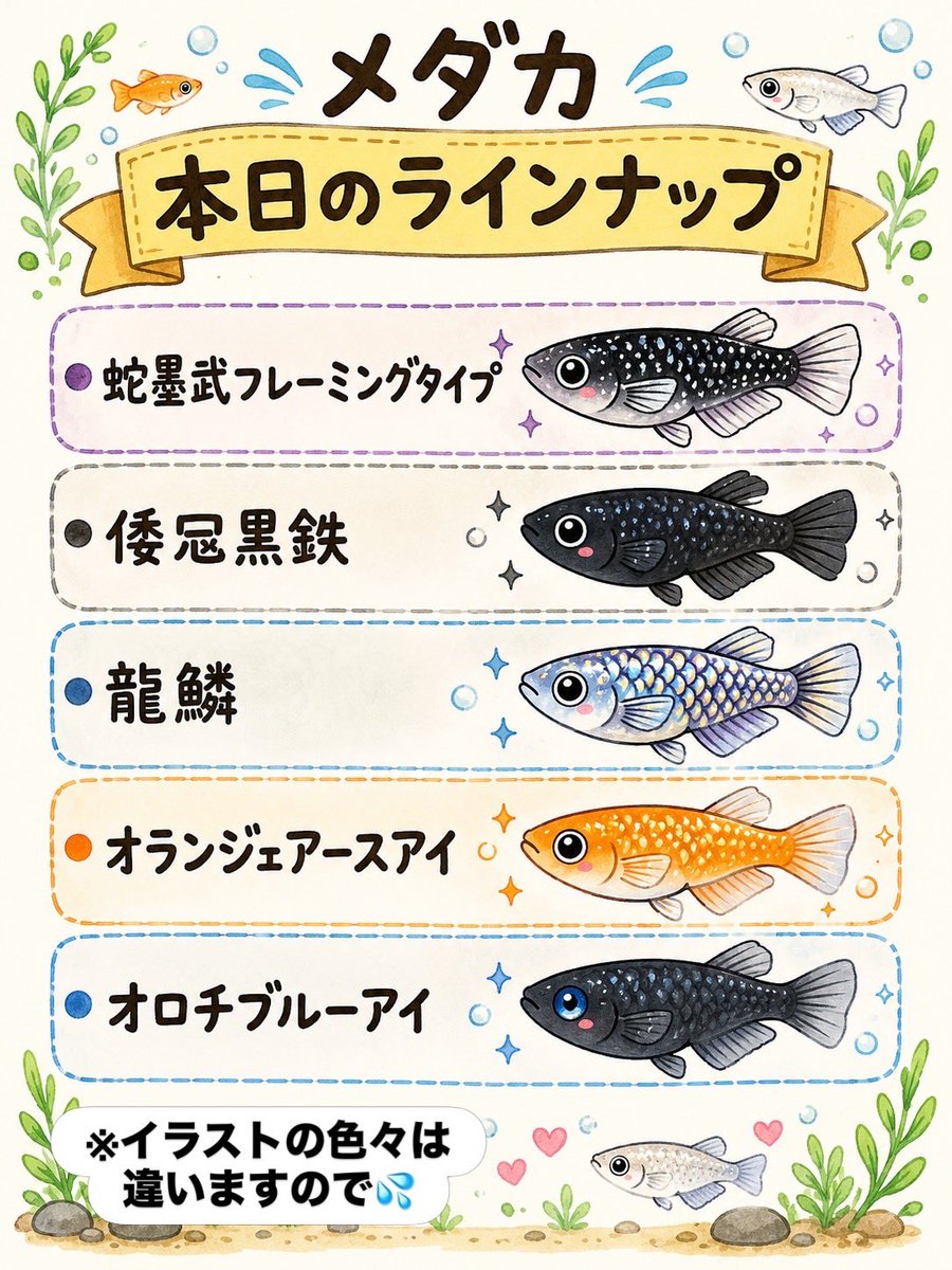 colt1701's tweet photo. おはようございます☀

無人販売オープン！今日はちょっと気合い入れてみました✨

お近くの際は是非来てね〜👍

#メダカ#メダカ無人販売 https://t.co/g3J7n9UgEe