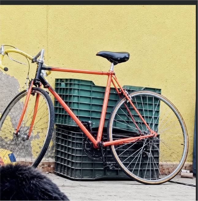 BicireporteraDF's tweet photo. Bandita de #Naucalpan, se solicita su ayuda pág ubicar esta bicicleta, y con ello cooperar para encontrar a Bernabé Antonio Fernandez, su dueño quien está desaparecido desde el 12 de julio. 

Les dejo su ficha de búsqueda 🙏🏼🙏🏼🙏🏼 https://t.co/WZR6VgcL98