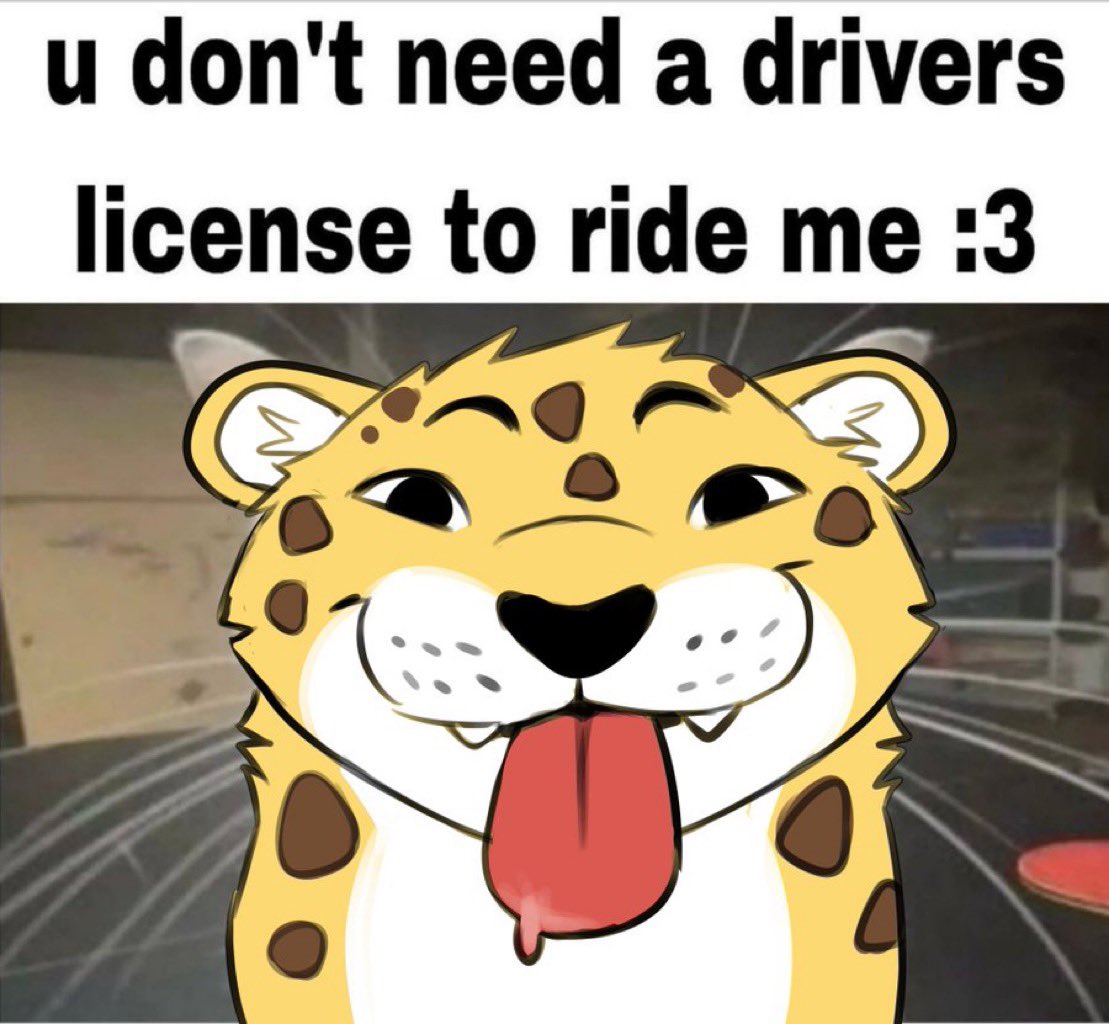 CreamyTigers2's tweet photo. who made this bro can someone make this into a tiger asking for a friend https://t.co/bGLv7gX3bn