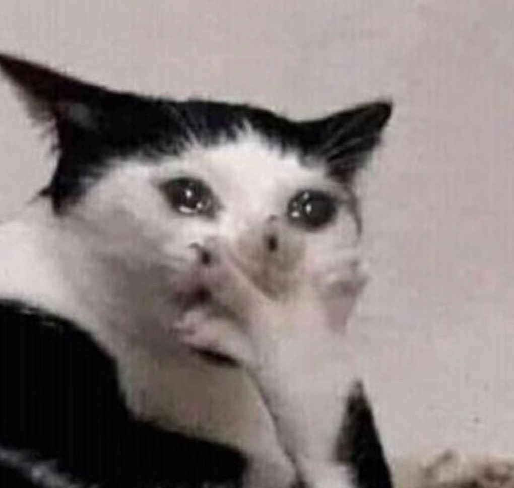 heartofc3lest's tweet photo. unfortunately the rumors are true, getting a j*b results in playing less overwatch https://t.co/uNKlDQjVaV