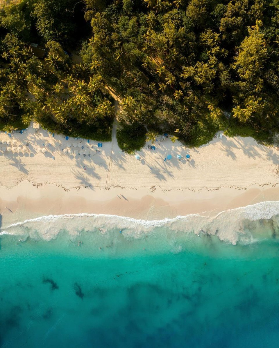 Barbados's tweet photo. Golden sands, crystal-clear waters, and endless horizons; come, let Barbados steal your heart.💙

With each wave that crashes upon the shore, our island whispers secrets of its timeless allure.

📸: @srimarella

#VisitBarbados #LoveBarbados #MyBarbados https://t.co/zUKbneGOQC
