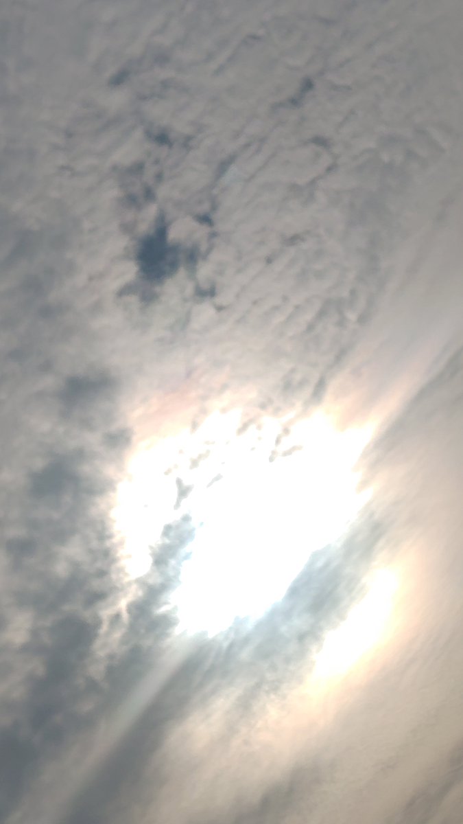 red511min's tweet photo. 午前7時すぎ

#イマソラ

#イマクモ

#太陽☀ https://t.co/lLmsDnKfTw