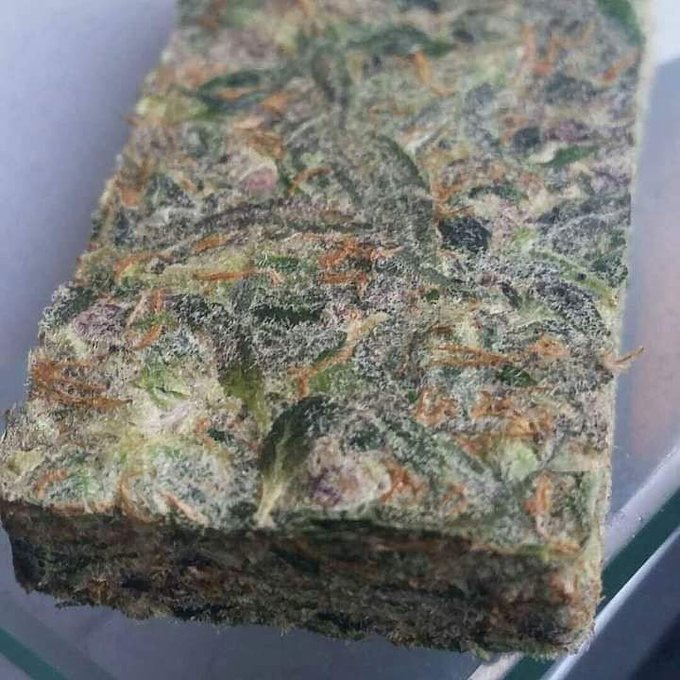 snoopweedplug's tweet photo. Estamos ativos para atender vocês !
Cardápio aqui: https://t.co/CgMd6QGvZp
📍Mercadorias pronta entrega no estado de São Paulo até 00:30!
📍Entregas fora do estado de São Paulo envio feito até 22:30!
✅️Qualidade única
#corre #sp #maconha #delivery #rj #erva https://t.co/SboYjT7GRk