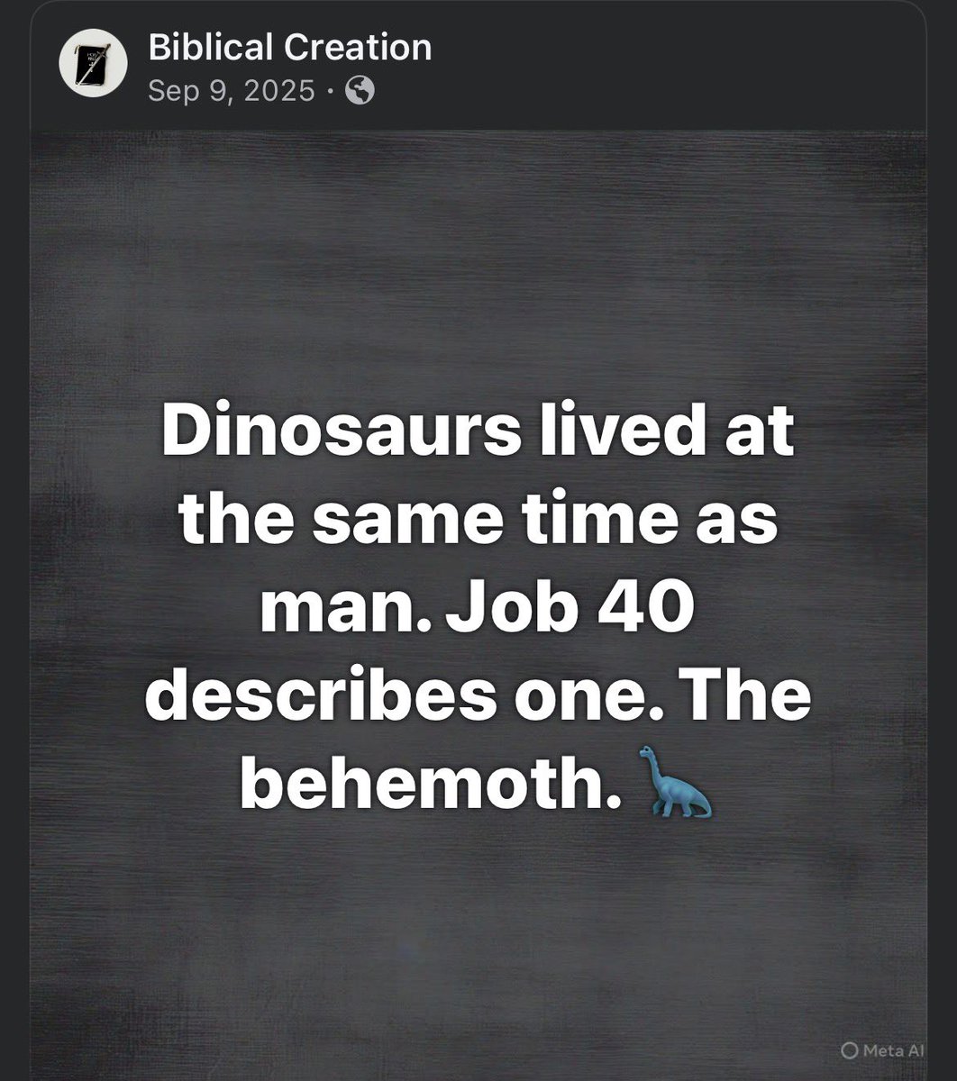 Not Evolution tweet media