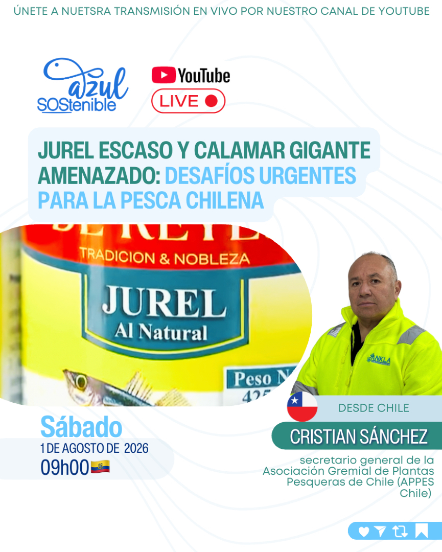 azulsostenible1's tweet photo. 🎙️ Programa #367 - Jurel escaso y calamar gigante amenazado: desafíos urgentes para la pesca chilena

🐟 ¿Qué está ocurriendo con dos de las pesquerías más importantes de Chile?
🌊 Analizamos los desafíos que enfrentan el jurel y el calamar gigante para garantizar su sostenibilidad
📉 Estado de los recursos, manejo pesquero y efectos sobre la industria y las comunidades costeras
🤝 La importancia de la cooperación científica y la gestión responsable para asegurar el futuro de estas pesquerías
🎙️ Invitado: Cristian Sánchez
🇨🇱 Secretario General de la Asociación Gremial de Plantas Pesqueras de Chile (APPES Chile)

▶️ Mira el programa completo en YouTube

🔗 [https://t.co/uez5seTjk5)

🚨 Descubre los principales retos que enfrenta la pesca chilena y por qué el manejo sostenible del jurel y el calamar gigante es clave para el futuro del Pacífico Sur. 🌊🐟🇨🇱