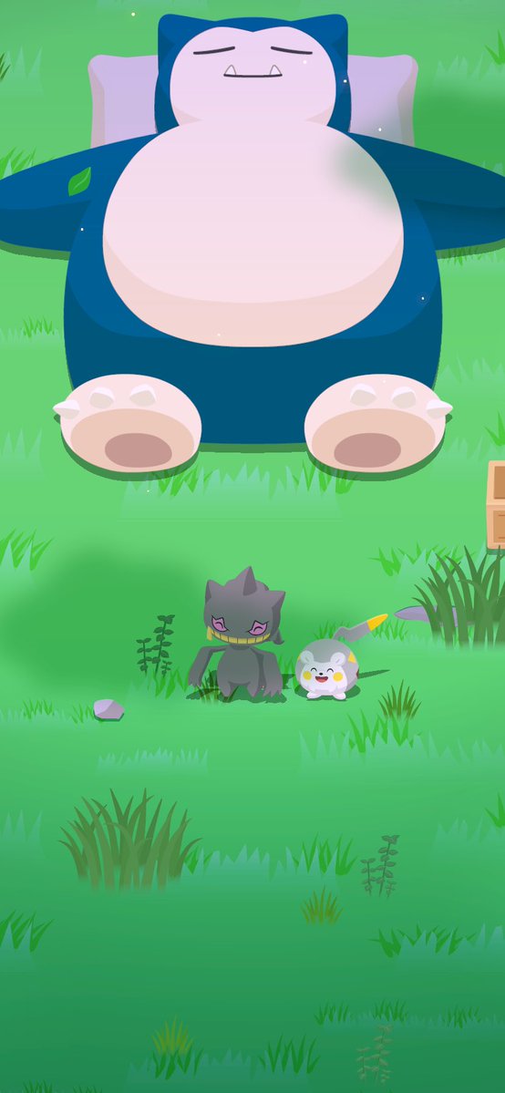poke_sleep_bro's tweet photo. ゴル旧仲良し
かわええ〜 https://t.co/XziL2GMKz7