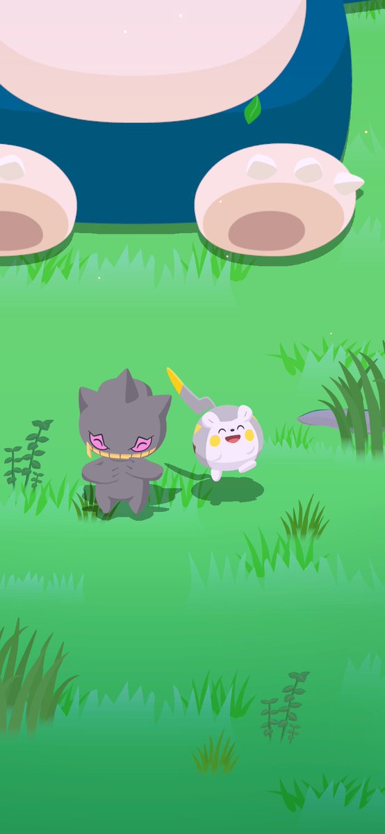 poke_sleep_bro's tweet photo. ゴル旧仲良し
かわええ〜 https://t.co/XziL2GMKz7