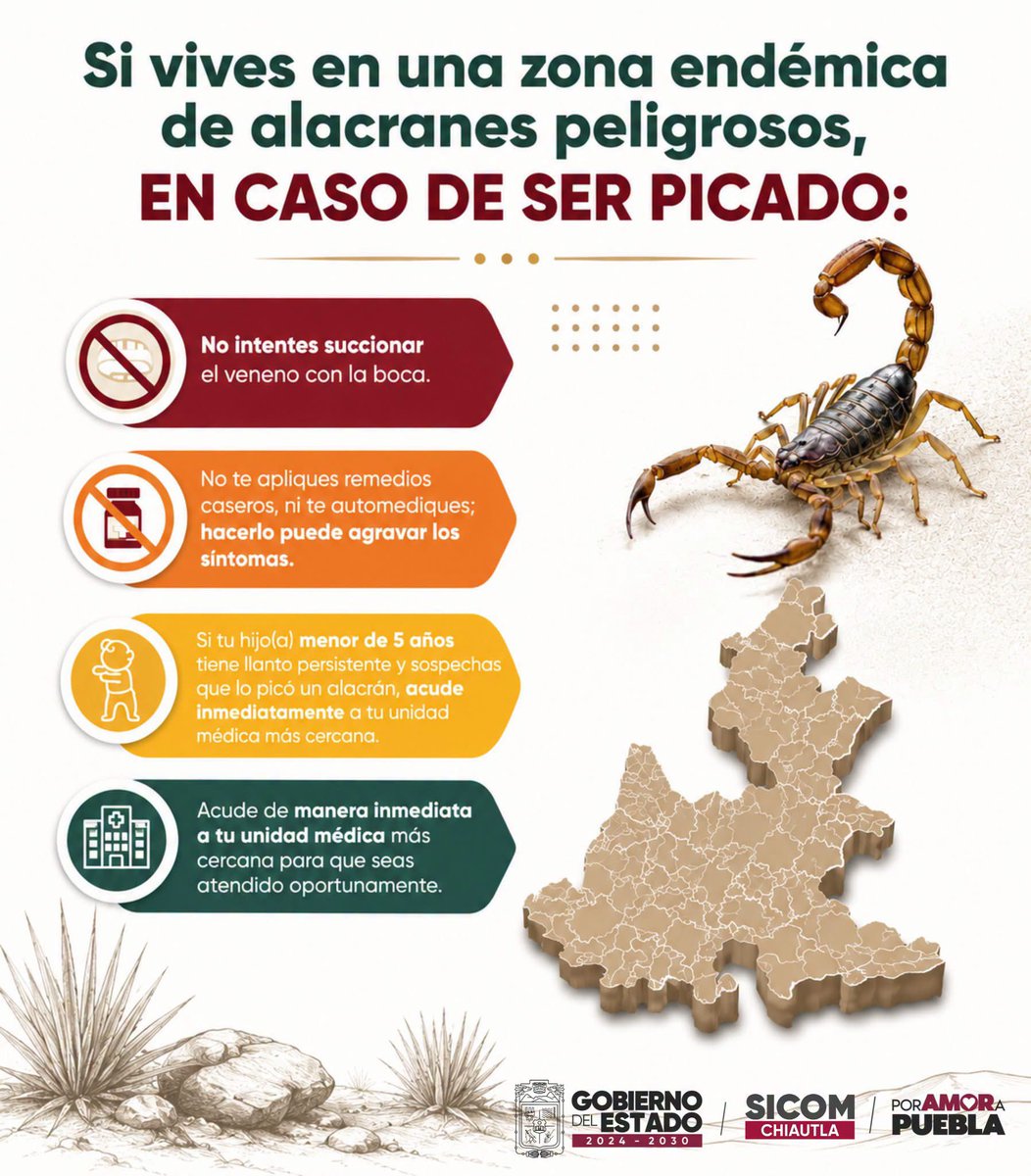 SICOMChiautla's tweet photo. Si vives en el Valle de Atlixco y Matamoros, la #Mixteca o la Sierra Negra, ¡mantente alerta ante la presencia de alacranes! 🦂
Información completa 👇🏼👇🏼👇🏼👇🏼
https://t.co/XTh5VvTHHS https://t.co/FDt9xji2vT