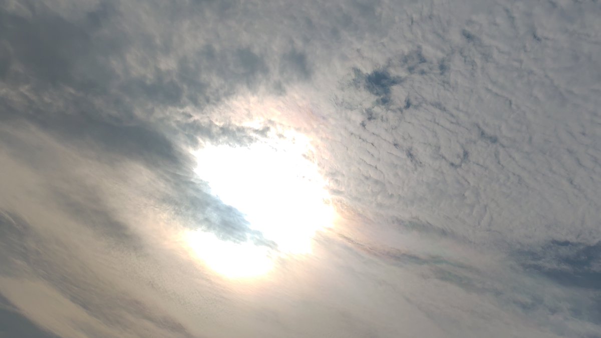 red511min's tweet photo. 午前7時すぎ

#イマソラ

#イマクモ

#太陽☀ https://t.co/yXkvrULgNS