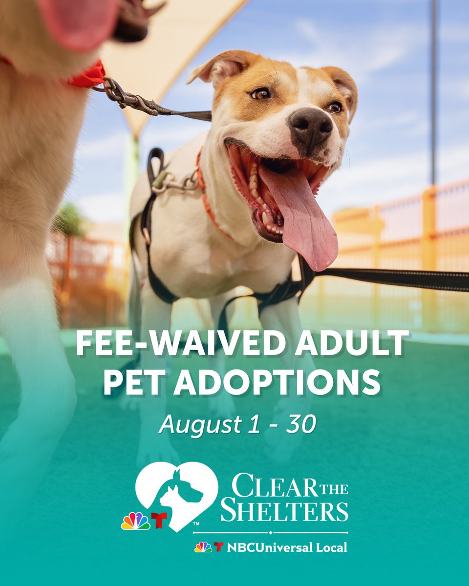 The Animal Foundation tweet media