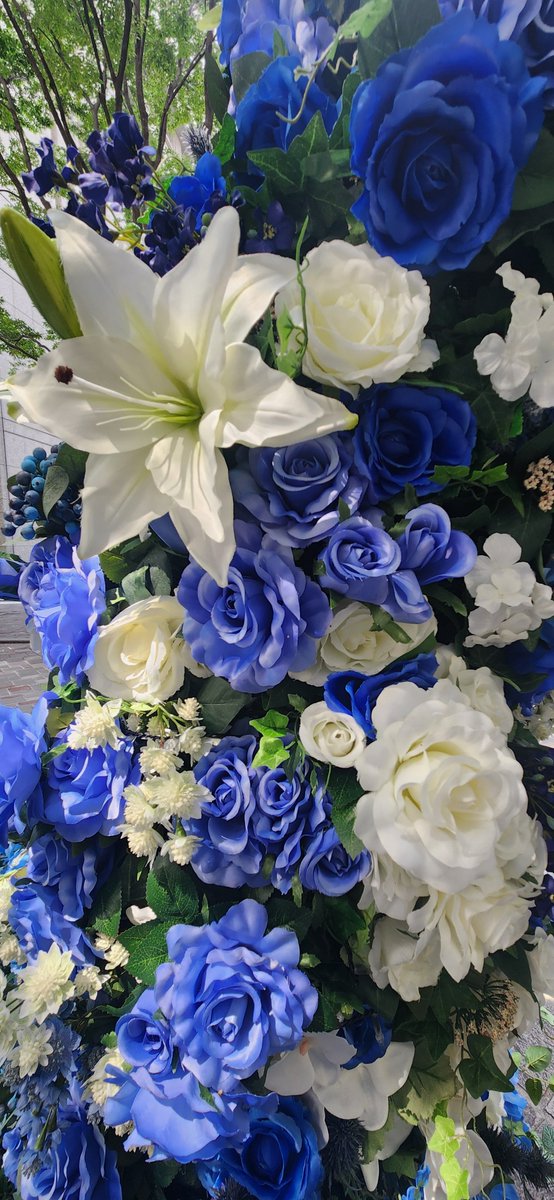 0520Legend's tweet photo. 東京駅·丸ビルの裏側の道
丸の内仲通りは、きれいな花で
彩られています🟦🟦🟦

#丸の内仲通り 
#丸の内
#丸ビル 
#新丸ビル https://t.co/HTWJUPASEr