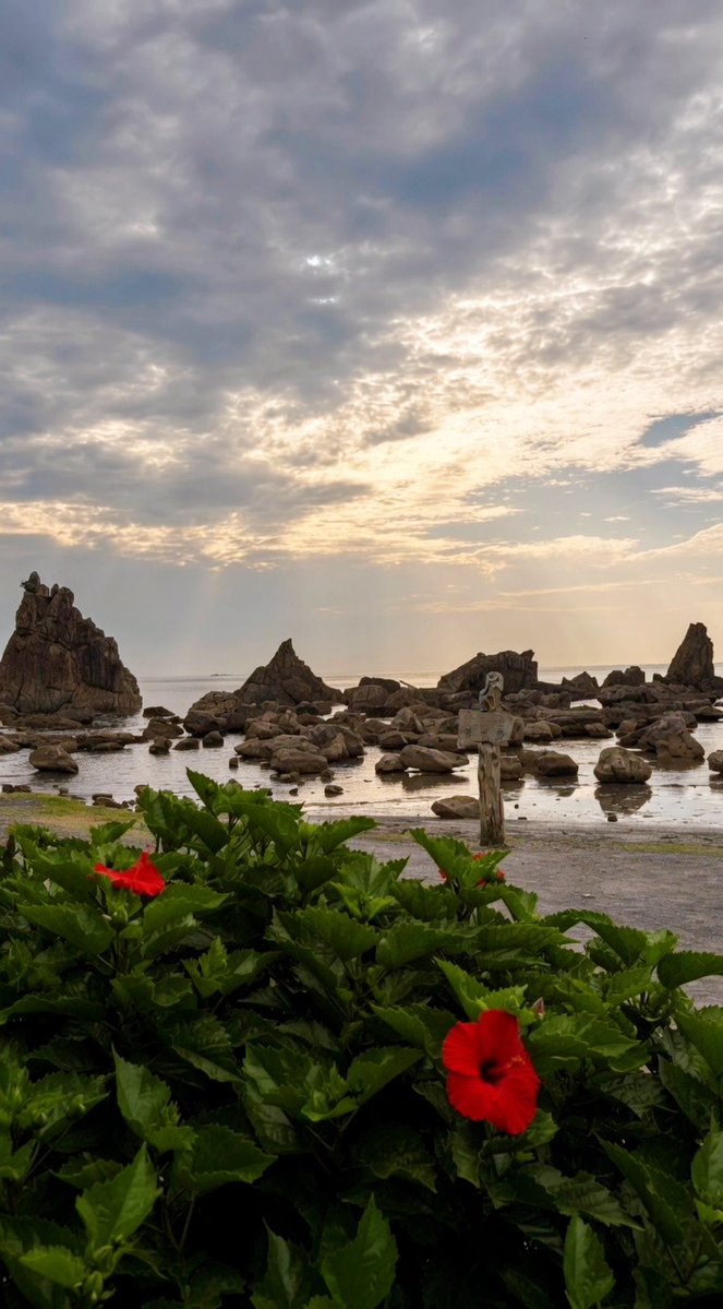 jq3pdq's tweet photo. おはようございます〜海の見える町より〜汐風も心地良く、今日から和歌山南部串本も串本まつりで賑やかに👍
#橋杭岩　#串本　#串本まつり https://t.co/HXu5cEAUir