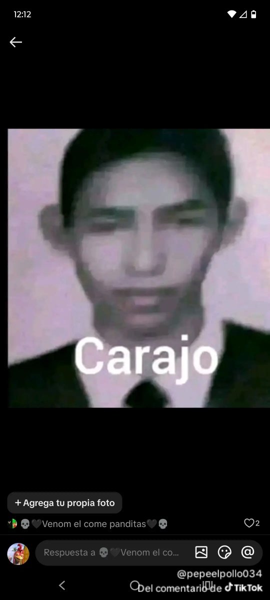 MisterAlexV's tweet photo. @PiccorangeCasi https://t.co/cqZEA8gzuq