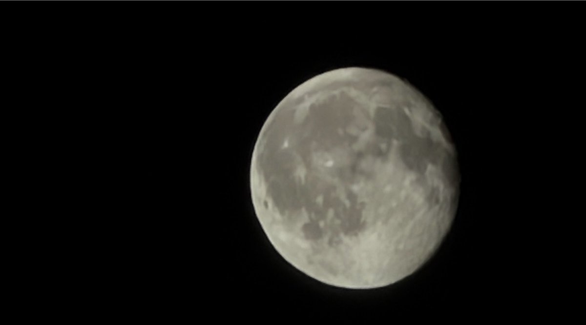 Dietrq's tweet photo. — We stay up together
under the moonlight. https://t.co/pqs3trk8sp