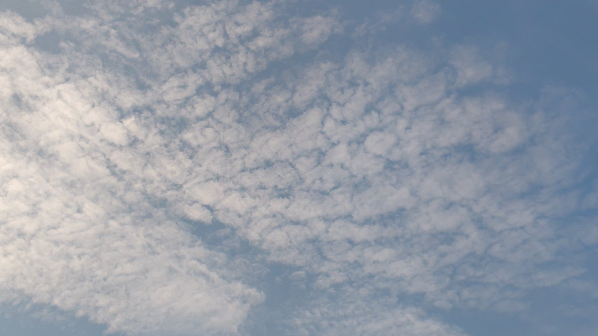 red511min's tweet photo. 午前7時すぎ

#イマソラ

#イマクモ

#太陽☀ https://t.co/jOovQeQFNe
