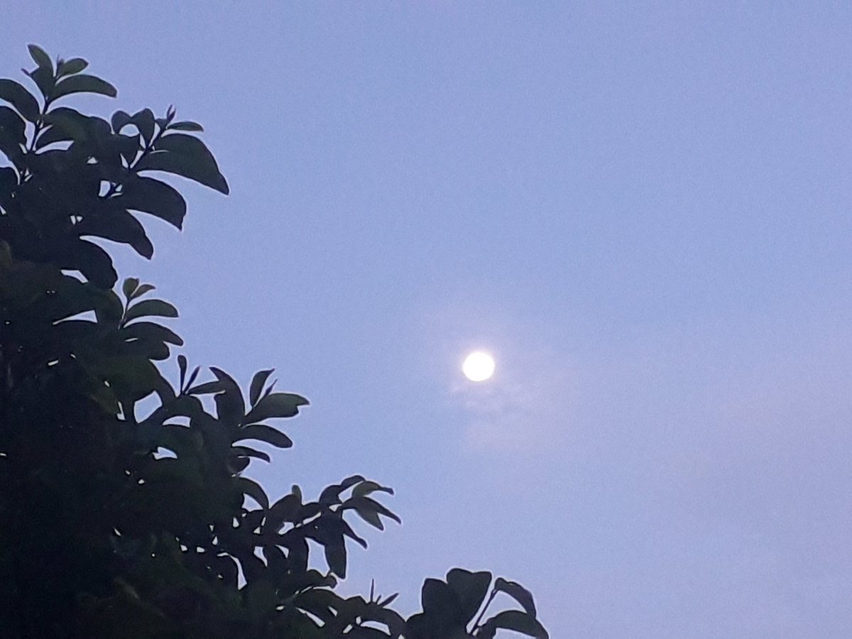 Solara_Studio's tweet photo. Blue sky moon https://t.co/BAmyyxrTKY