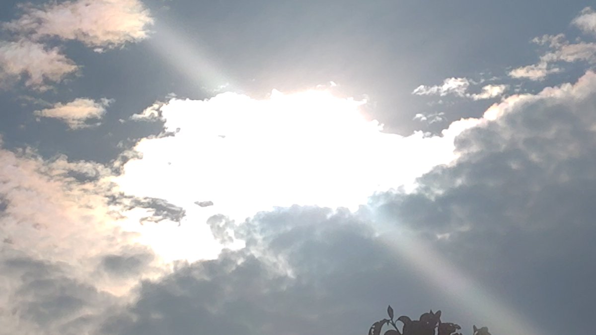 red511min's tweet photo. 午前7時すぎ

#イマソラ

#イマクモ

#太陽☀ https://t.co/5rePguwNRe